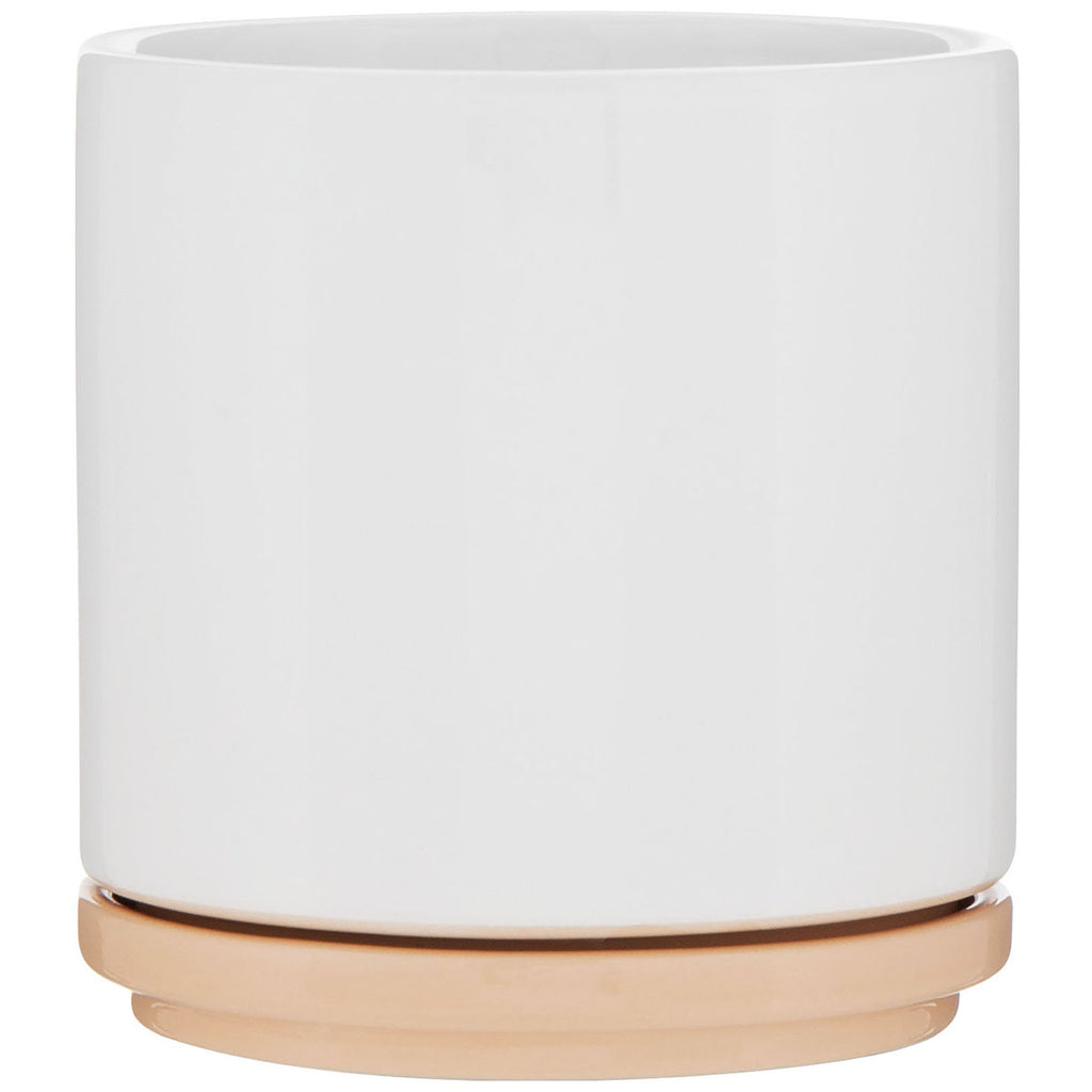 ETS Express Vanilla Blume 22oz Ceramic Planter