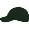 Ahead University Hunter Green Frio Cap