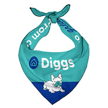 Pop Promos Custom Dog Bandanas