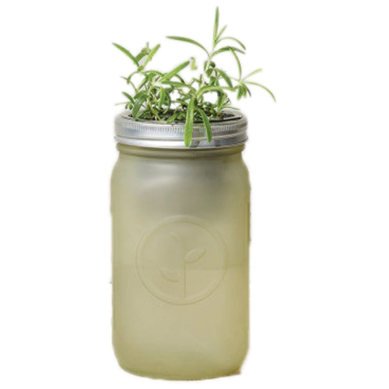 Modern Sprout Rosemary Indoor Herb Garden Kit