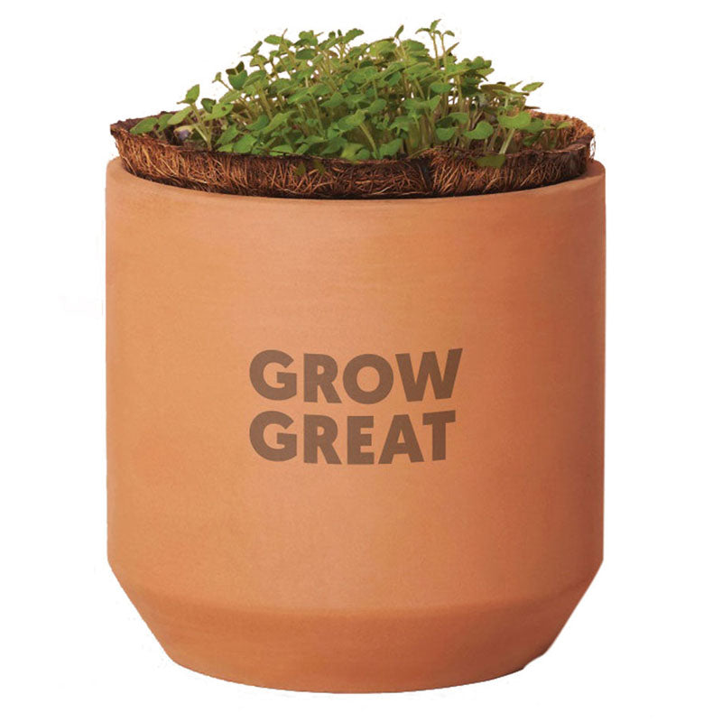 Modern Sprout Terracotta Tiny Terracotta Grow Kit Thank You Daisies
