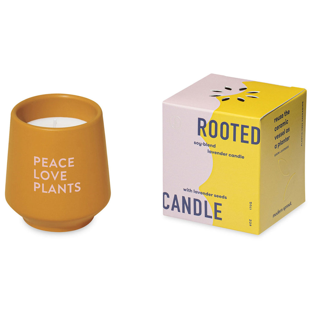 Modern Sprout Mustard/Lavender Rooted Candle