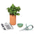 Modern Sprout Terracotta Growing Gourmet Gift Set