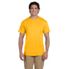 Fruit of the Loom Men's New Gold 5 oz. HD Cotton T-Shirt