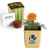 Primeline Tan Flower Pot Set with Marigold Seeds