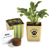 Primeline Tan Flower Pot Set with Basil Seeds