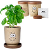 Goofy Group Tan Grow Pot Eco-Planter with Basil Seeds