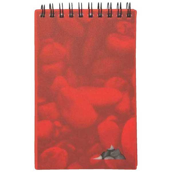 Gold Bond Pebble Red 3-1/2" x 5" Stone Paper Jotter